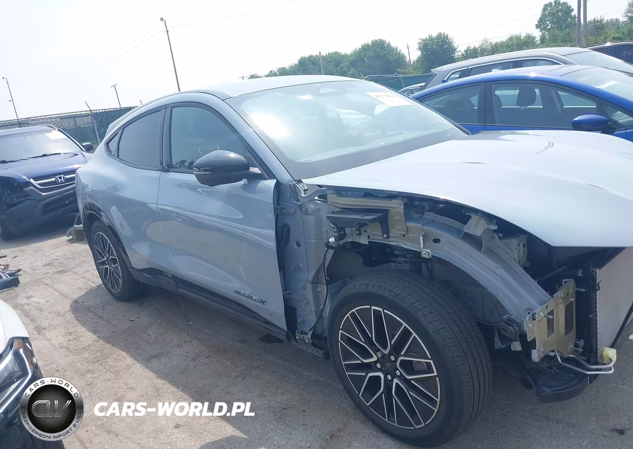 2024 Ford Mustang Mach-E Premium VIN:3FMTK3SU0RMA11479 - 14