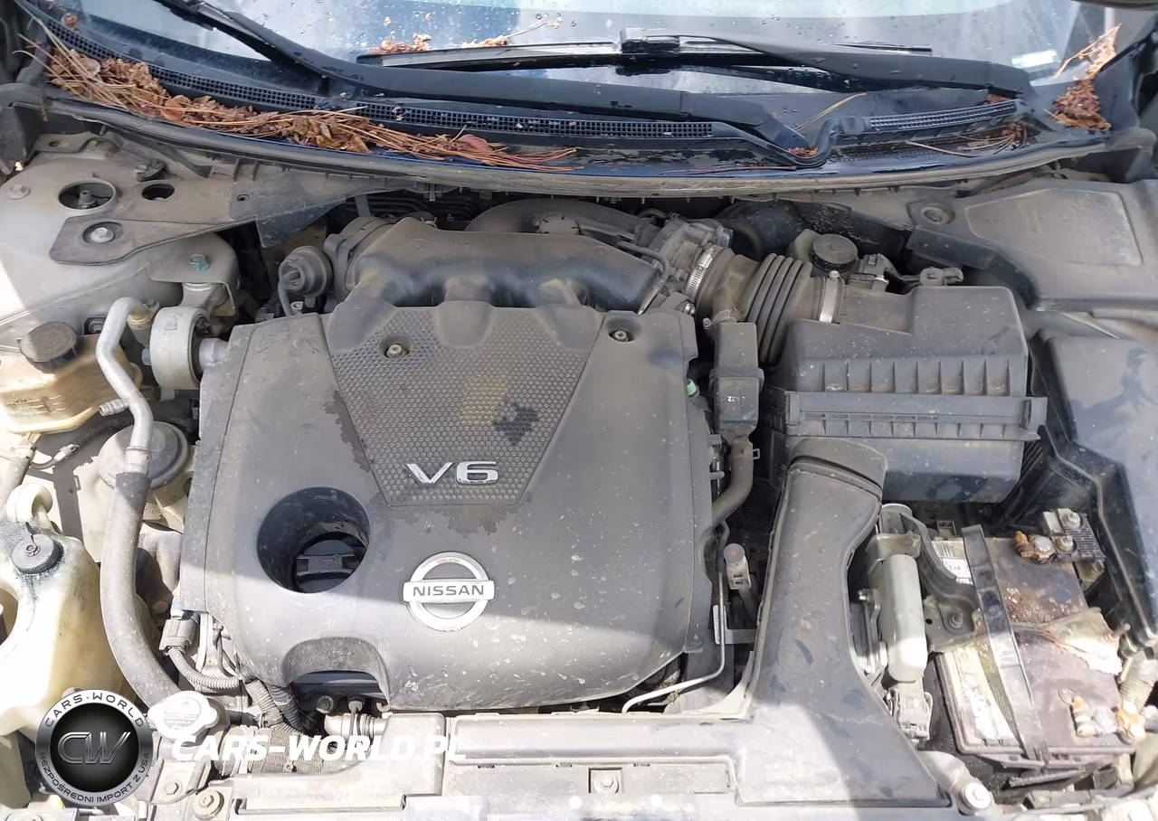 2009 Nissan Maxima 3.5 Sv VIN:1N4AA51E79C845003 - 10