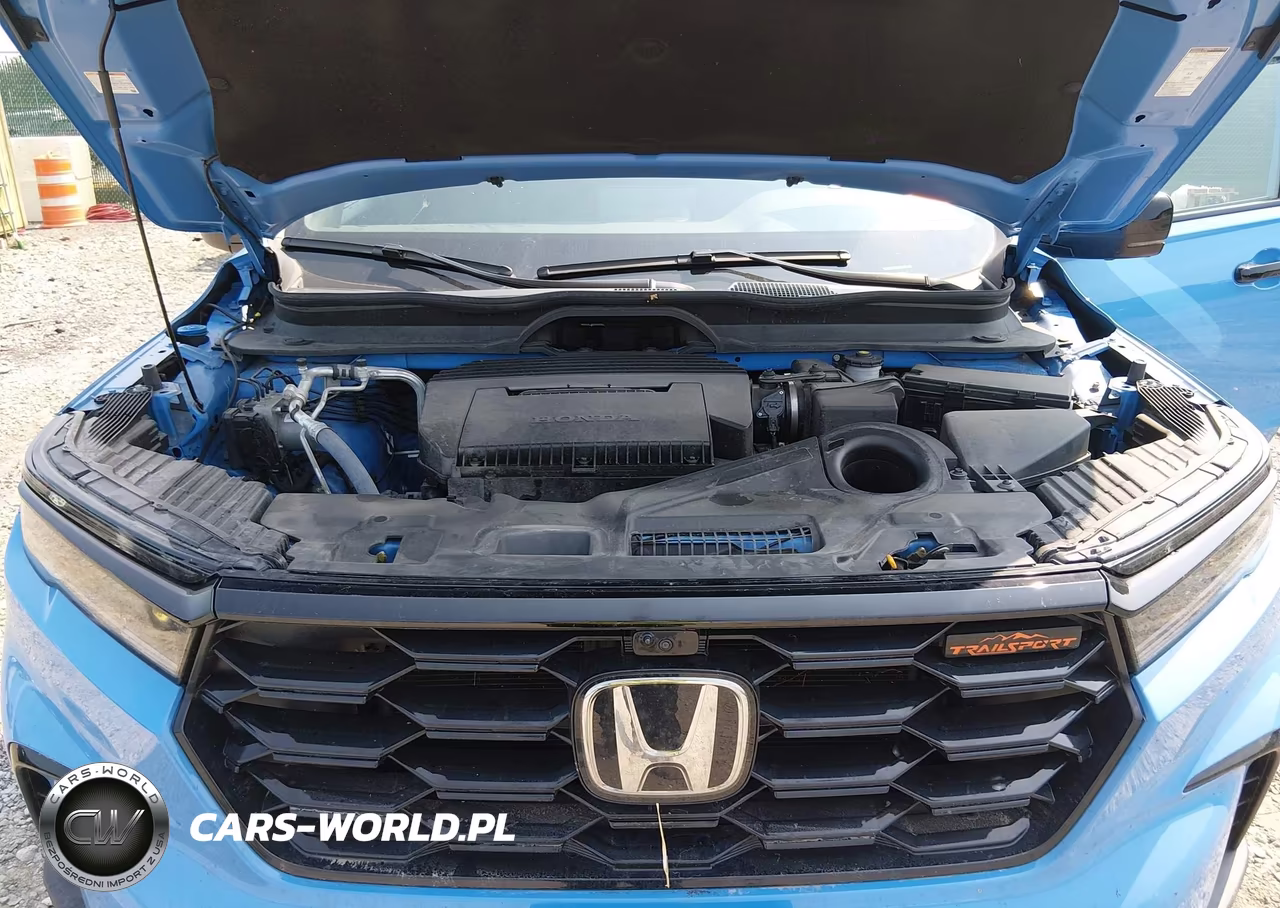 2025 Honda Pilot Trailsport VIN:5FNYG1H66SB150552 - 10