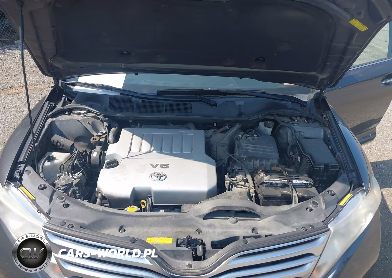 2009 Toyota Venza Base V6 VIN:4T3BK11AX9U004159 - 10