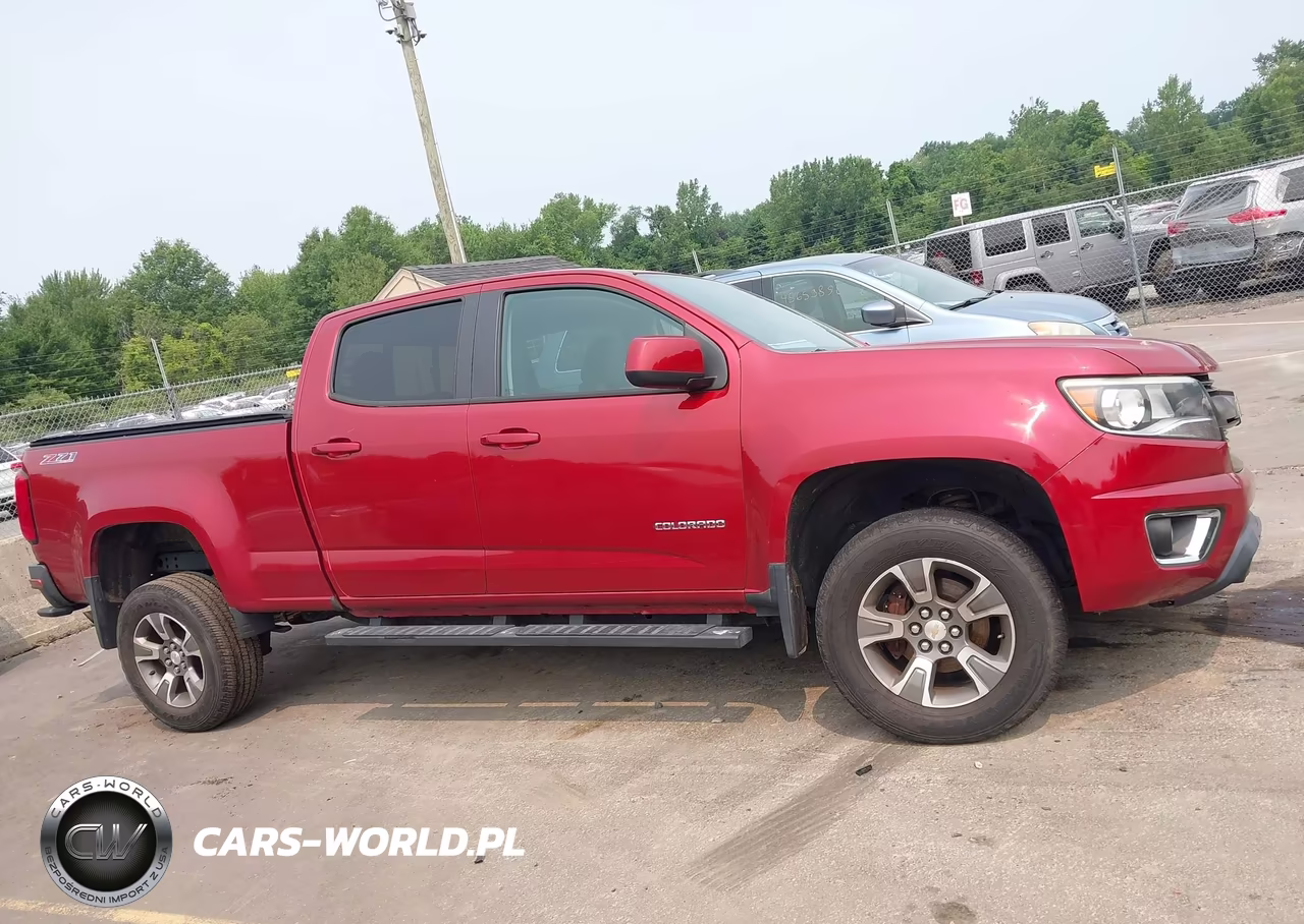 2016 Chevrolet Colorado 4Wd Z71 VIN:1GCGTDE30G1310234 - 13
