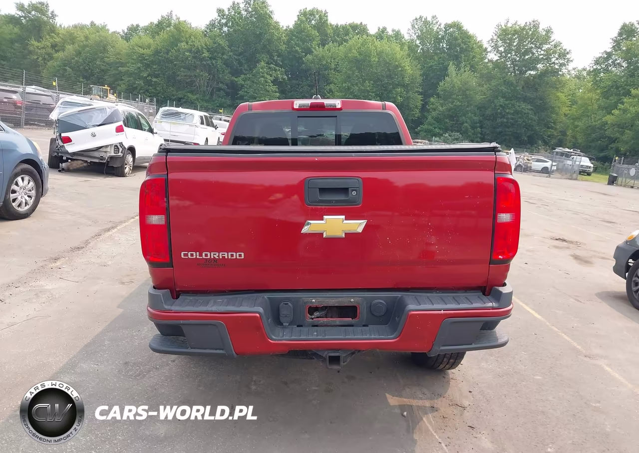 2016 Chevrolet Colorado 4Wd Z71 VIN:1GCGTDE30G1310234 - 16