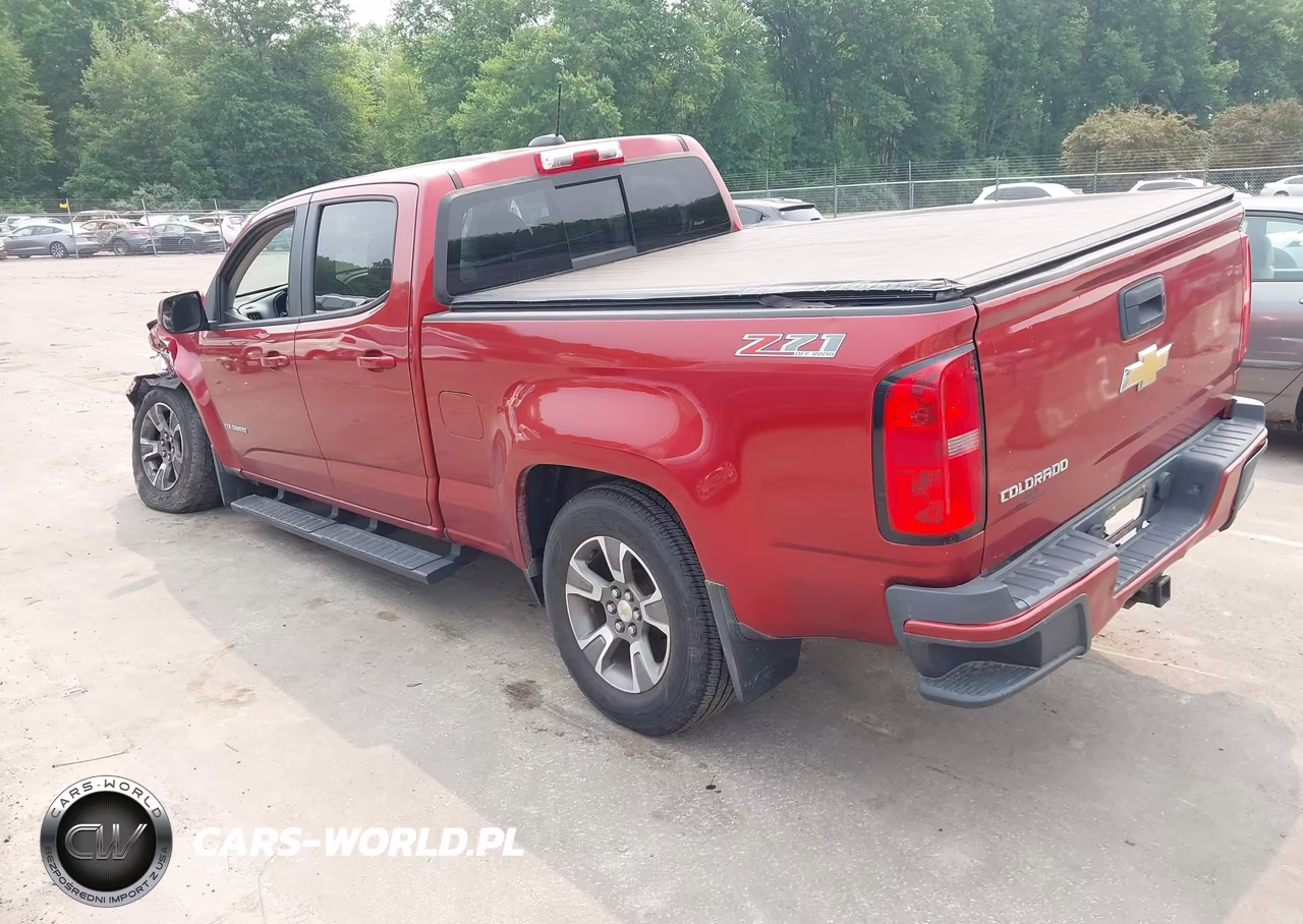 2016 Chevrolet Colorado 4Wd Z71 VIN:1GCGTDE30G1310234 - 3