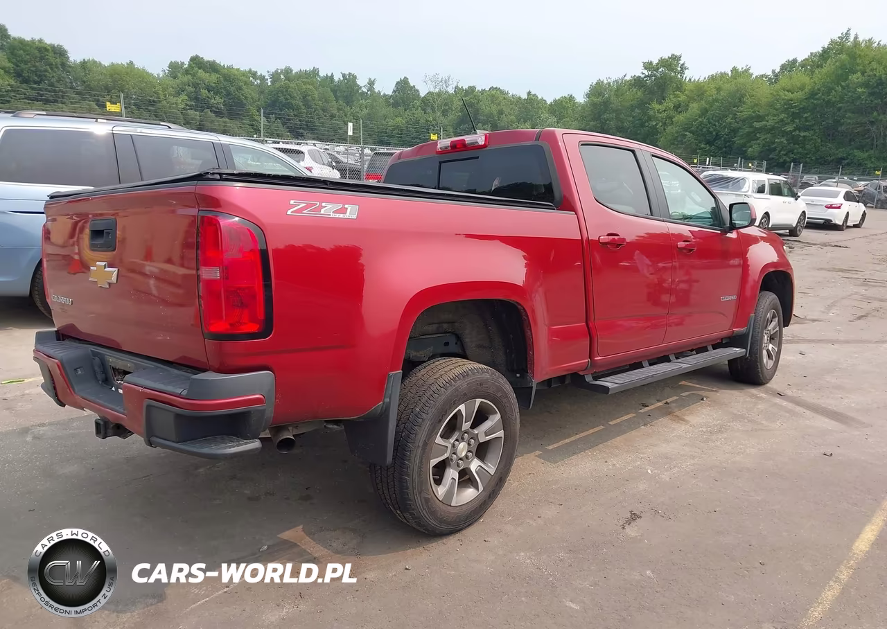 2016 Chevrolet Colorado 4Wd Z71 VIN:1GCGTDE30G1310234 - 4