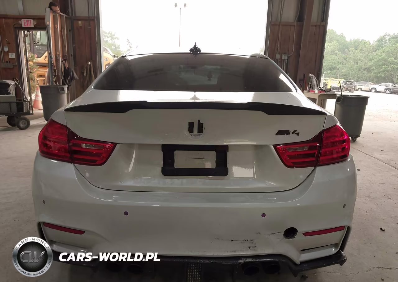 2017 BMW M4 VIN:WBS3R9C52HK709083 - 17