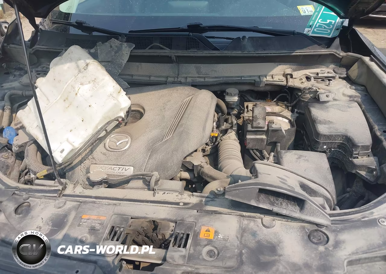 2019 Mazda Cx-9 Touring VIN:JM3TCBCY0K0302478 - 10