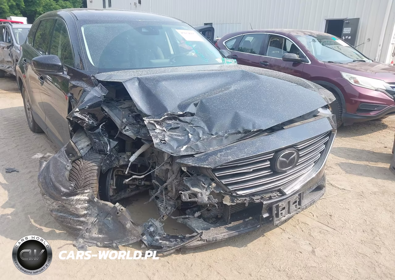 2019 Mazda Cx-9 Touring VIN:JM3TCBCY0K0302478 - 12