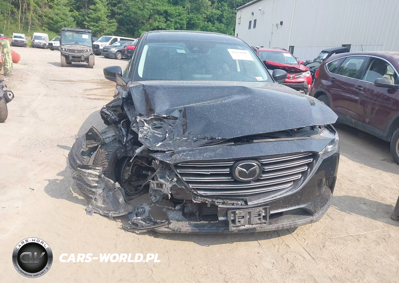 2019 Mazda Cx-9 Touring VIN:JM3TCBCY0K0302478 - 13