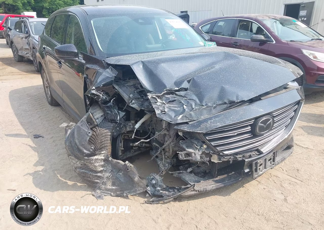 2019 Mazda Cx-9 Touring VIN:JM3TCBCY0K0302478 - 6