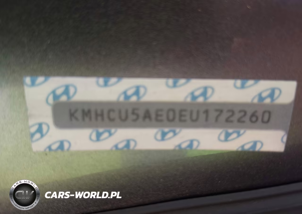 2014 Hyundai Accent Se VIN:KMHCU5AE0EU172260 - 9