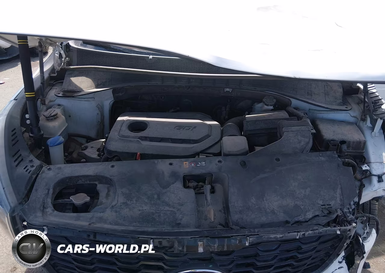 2019 Kia Sorento 2.4L Lx VIN:5XYPG4A32KG551196 - 10