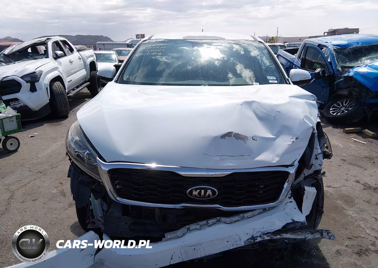 2019 Kia Sorento 2.4L Lx VIN:5XYPG4A32KG551196 - 12