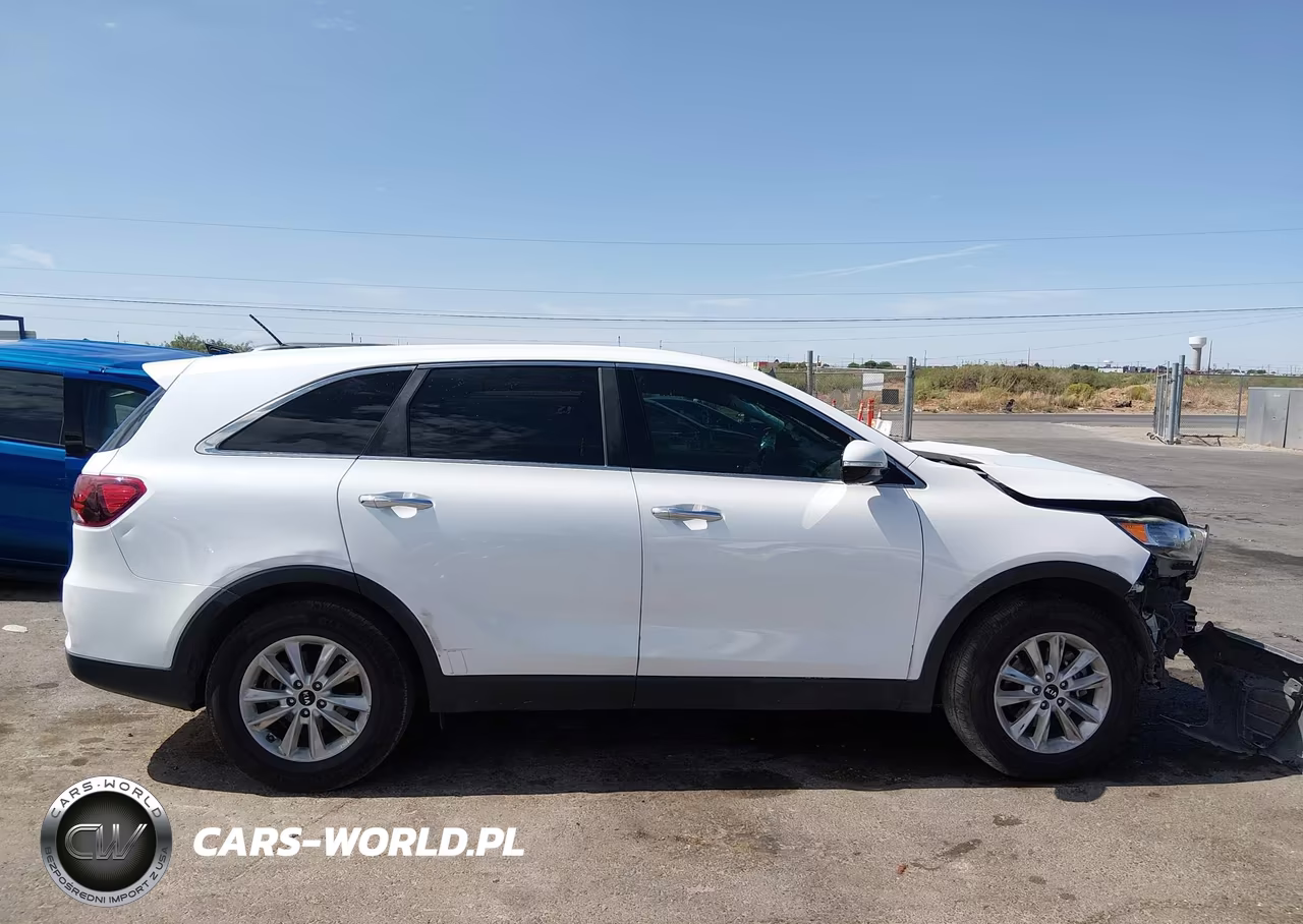 2019 Kia Sorento 2.4L Lx VIN:5XYPG4A32KG551196 - 13