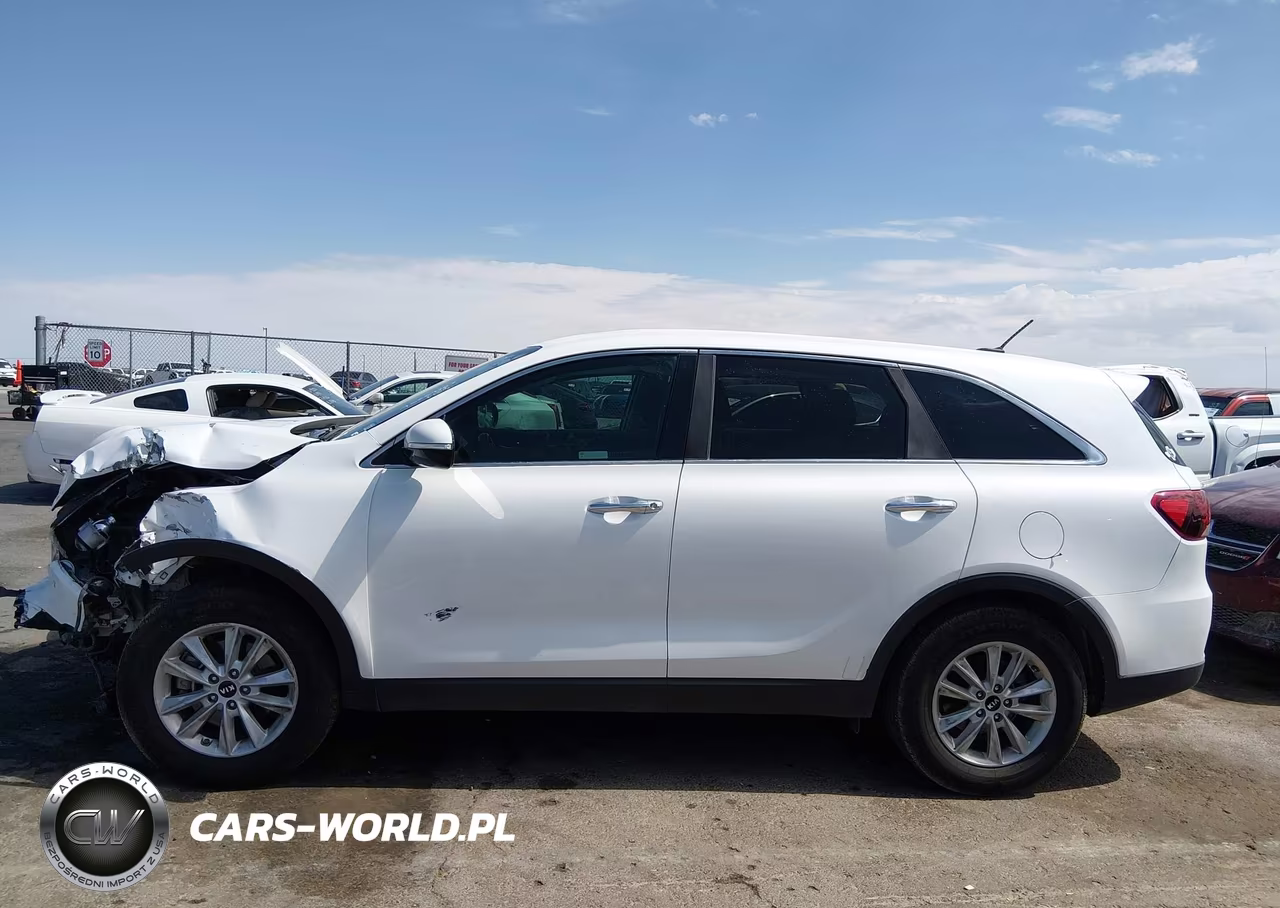 2019 Kia Sorento 2.4L Lx VIN:5XYPG4A32KG551196 - 14