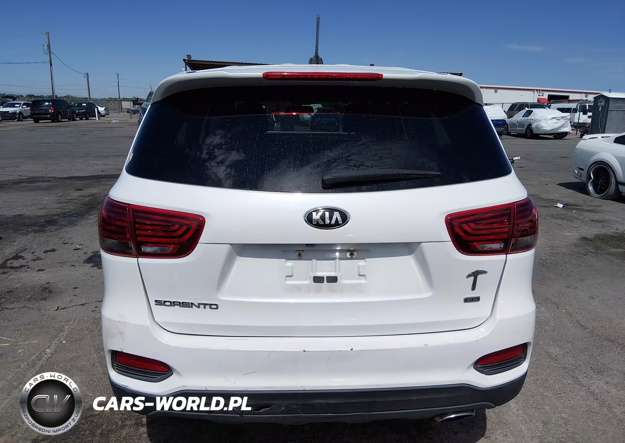2019 Kia Sorento 2.4L Lx VIN:5XYPG4A32KG551196 - 16