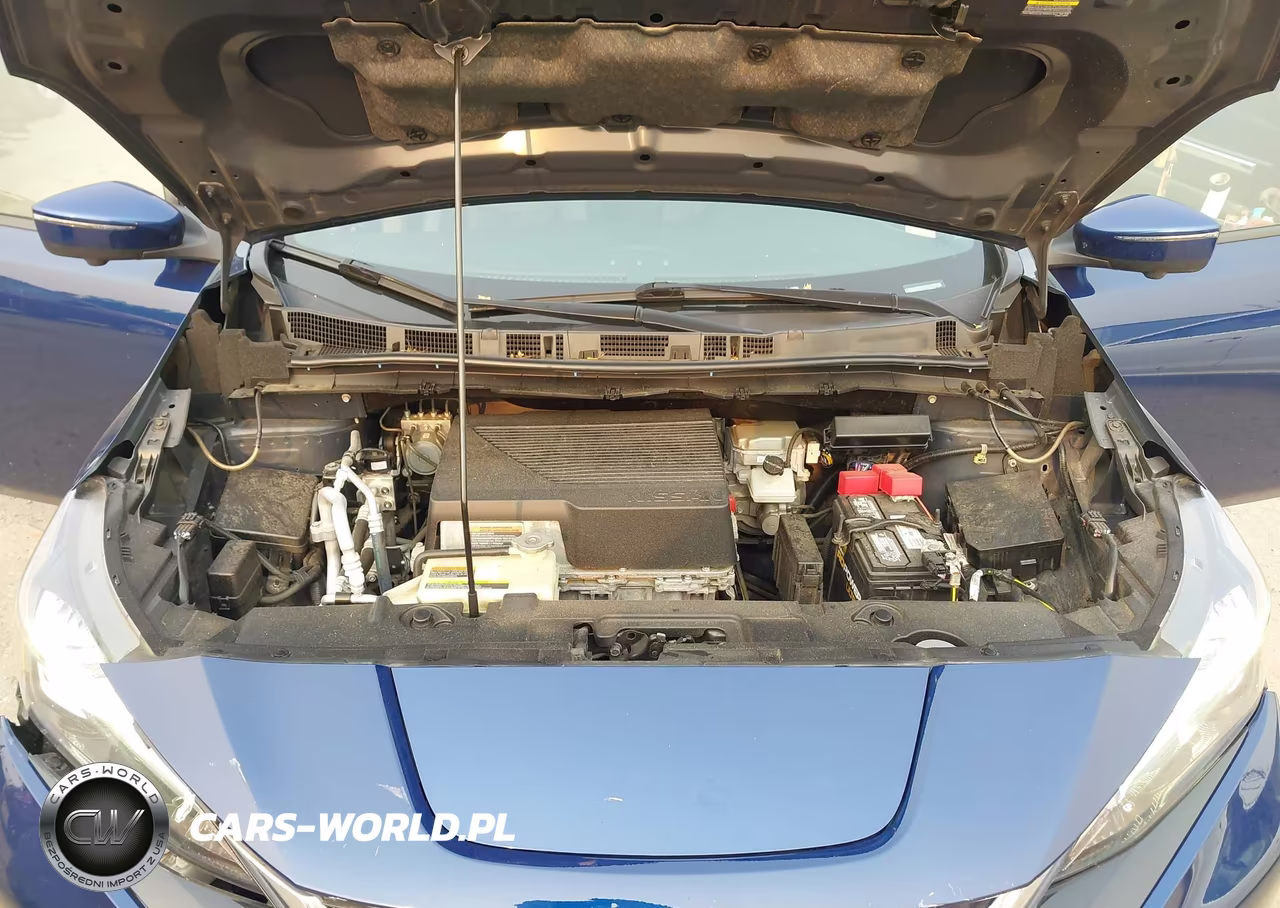 2020 Nissan Leaf Sl Plus 62 Kwh VIN:1N4BZ1DPXLC309561 - 10