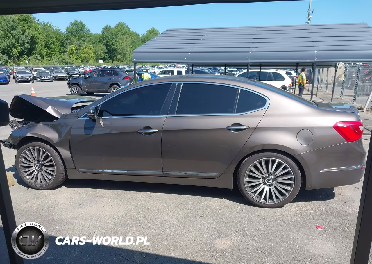 2015 Kia Cadenza Premium VIN:KNALN4D70F5168257 - 15