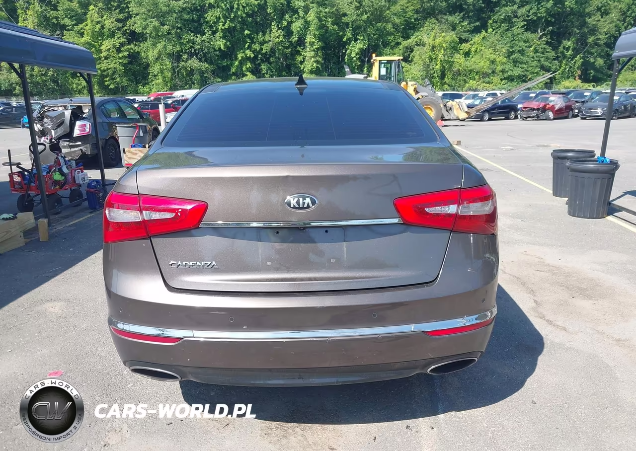 2015 Kia Cadenza Premium VIN:KNALN4D70F5168257 - 17