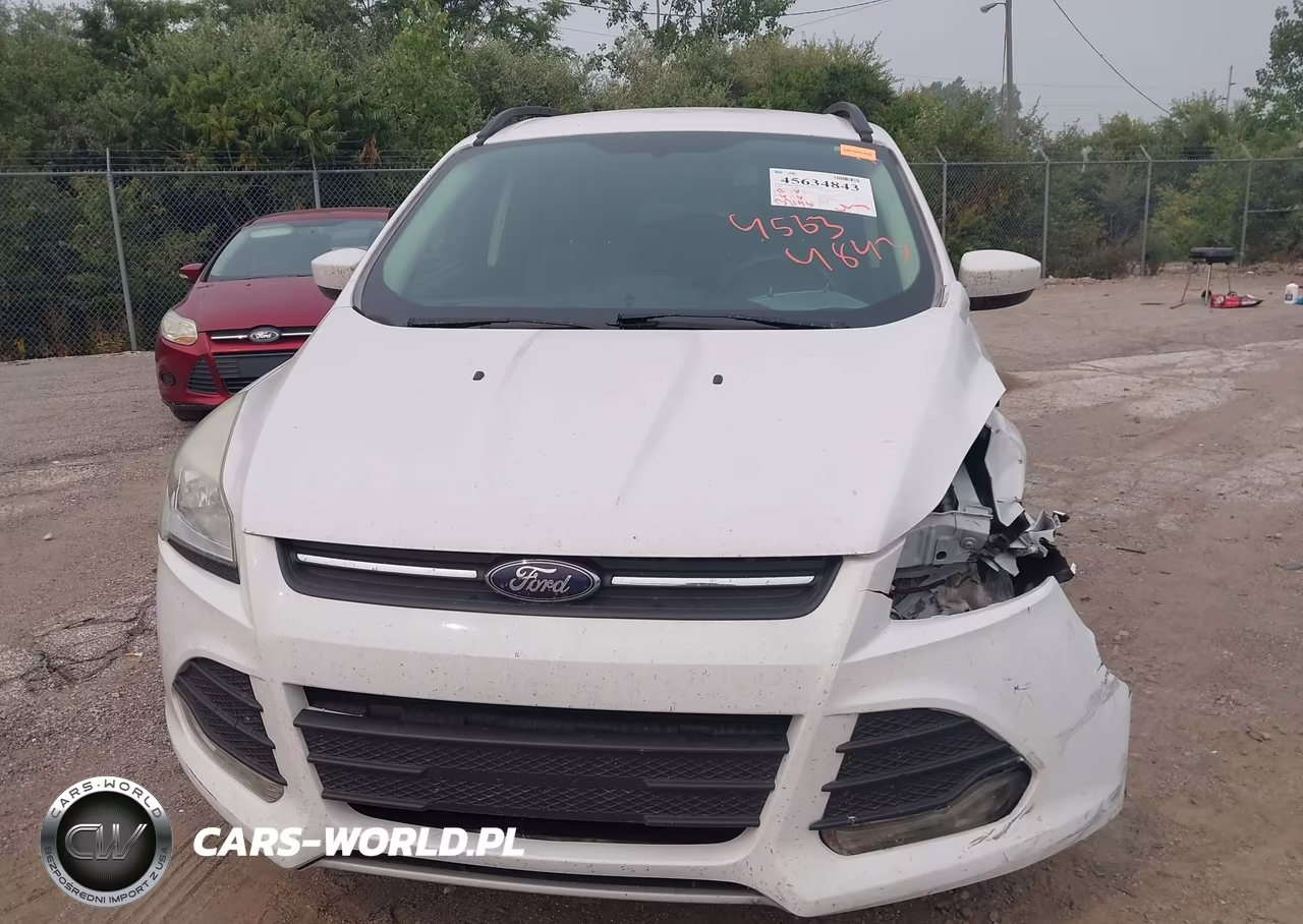 2014 Ford Escape Se VIN:1FMCU0GX3EUD71623 - 12