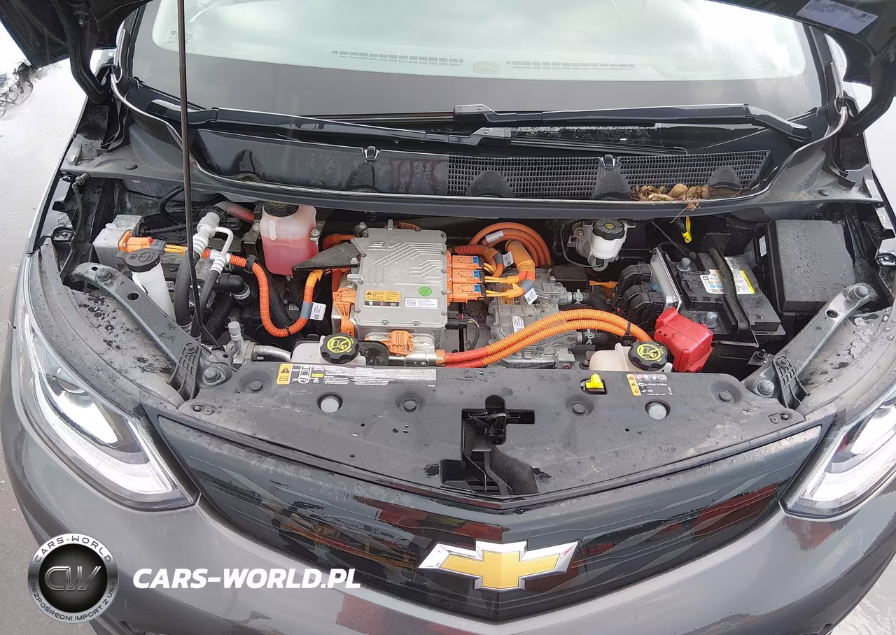 2019 Chevrolet Bolt Ev Lt VIN:1G1FY6S02K4126495 - 10