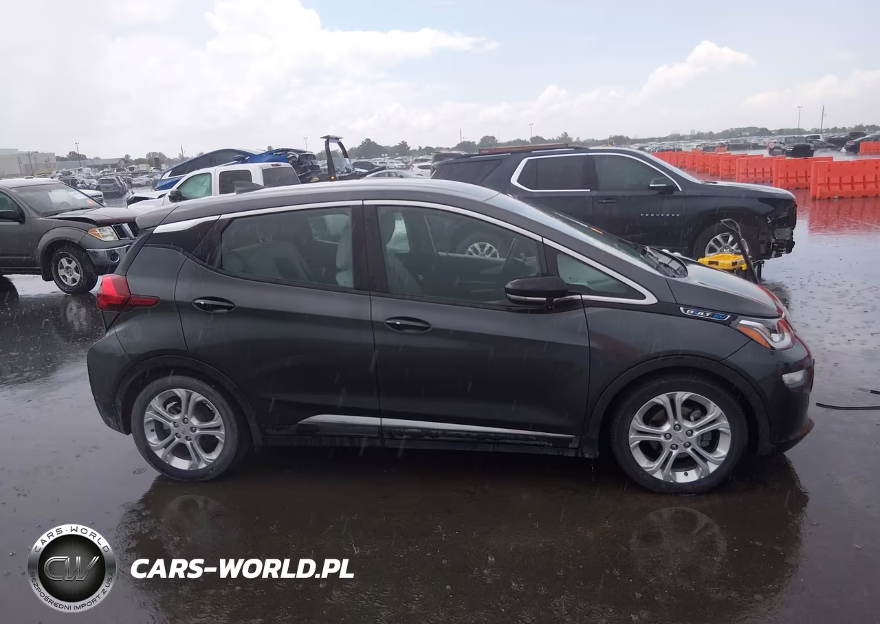 2019 Chevrolet Bolt Ev Lt VIN:1G1FY6S02K4126495 - 13