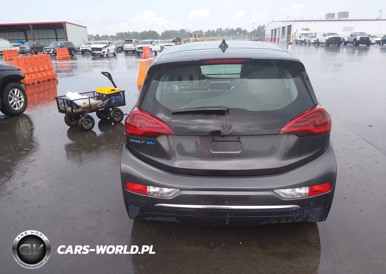 2019 Chevrolet Bolt Ev Lt VIN:1G1FY6S02K4126495 - 16
