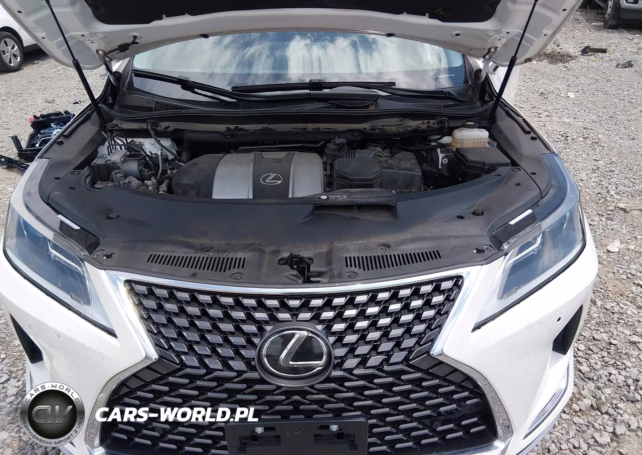2022 Lexus Rx 350L VIN:JTJHZKFA0N2035764 - 10