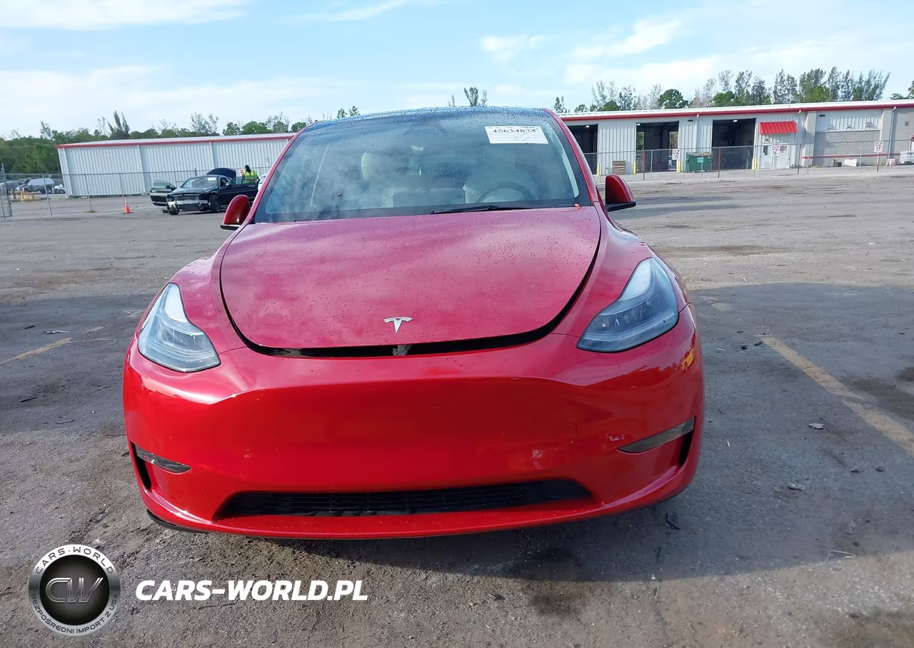 2023 Tesla Model Y Performance Dual Motor All-Wheel Drive VIN:7SAYGDEF4PF795426 - 10
