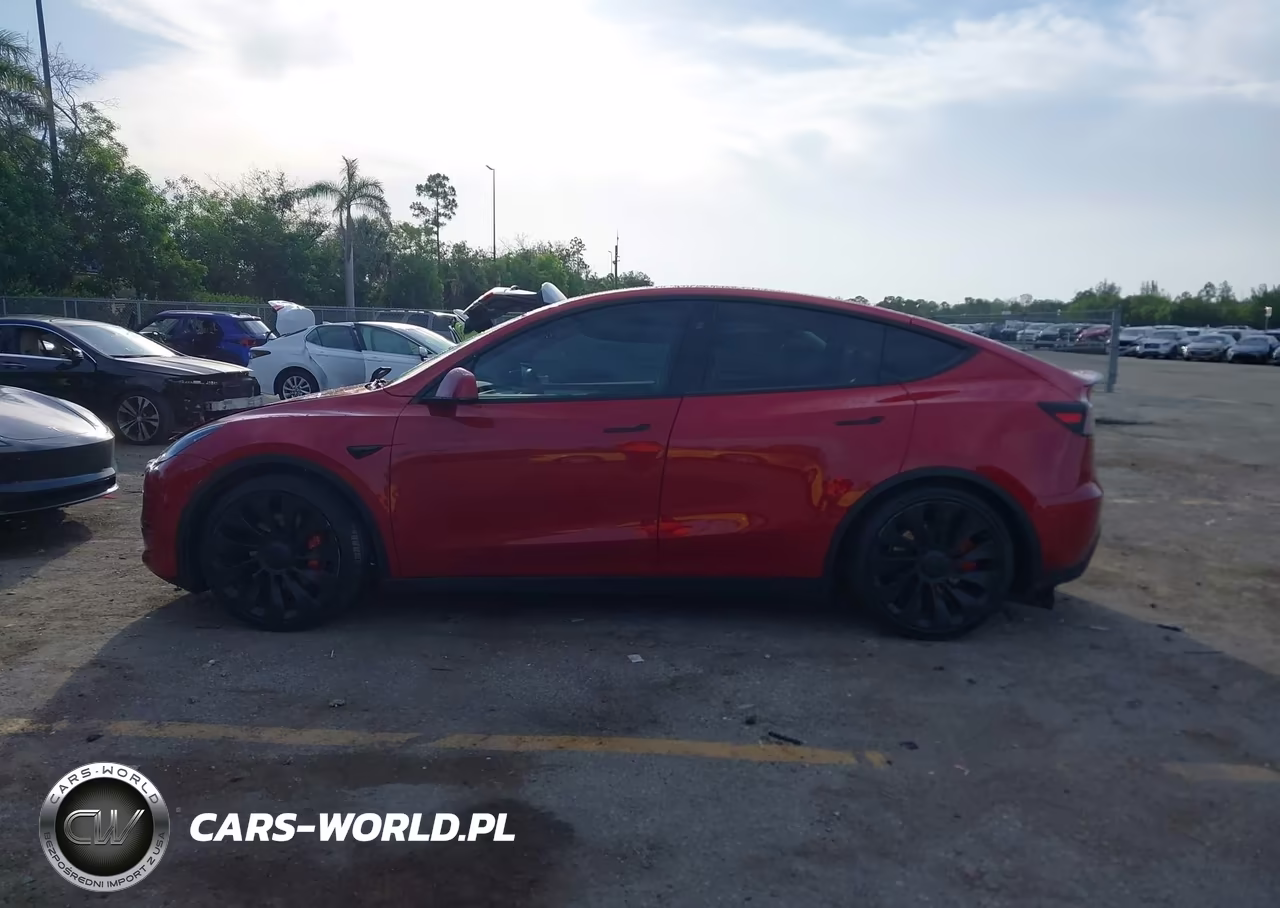 2023 Tesla Model Y Performance Dual Motor All-Wheel Drive VIN:7SAYGDEF4PF795426 - 12