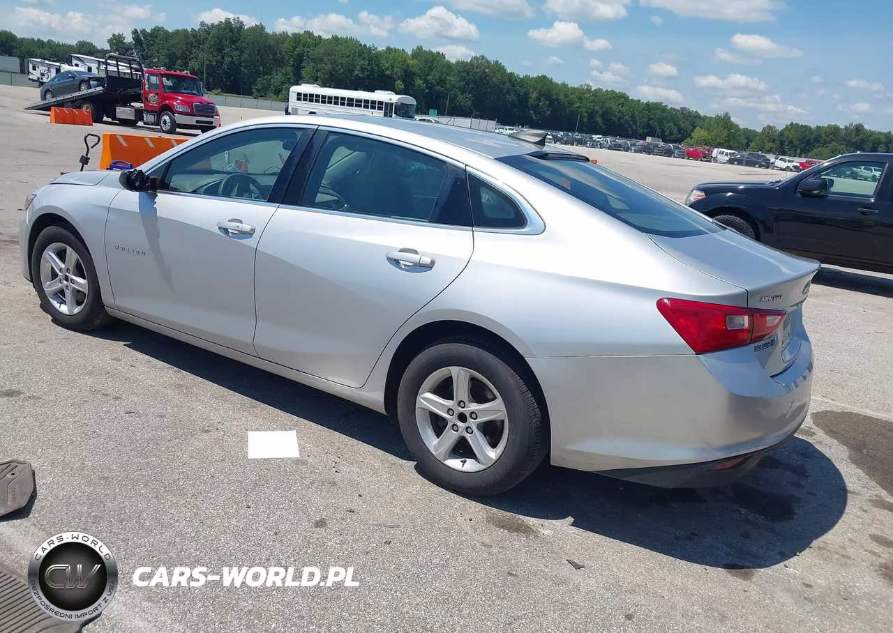 2019 Chevrolet Malibu 1Ls VIN:1G1ZB5ST3KF132104 - 3