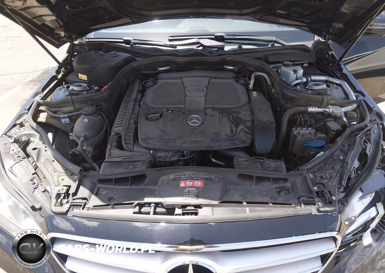 2016 Mercedes-Benz E 350 VIN:WDDHF5KB9GB306602 - 10