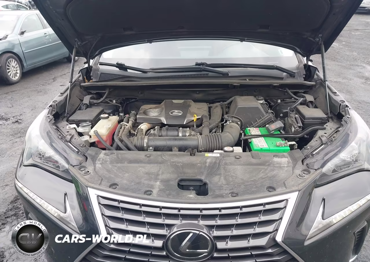 2021 Lexus Nx 300 VIN:JTJDARDZ0M2236599 - 10