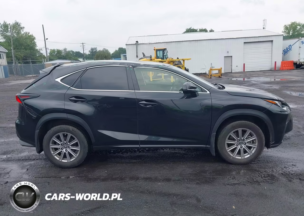 2021 Lexus Nx 300 VIN:JTJDARDZ0M2236599 - 13