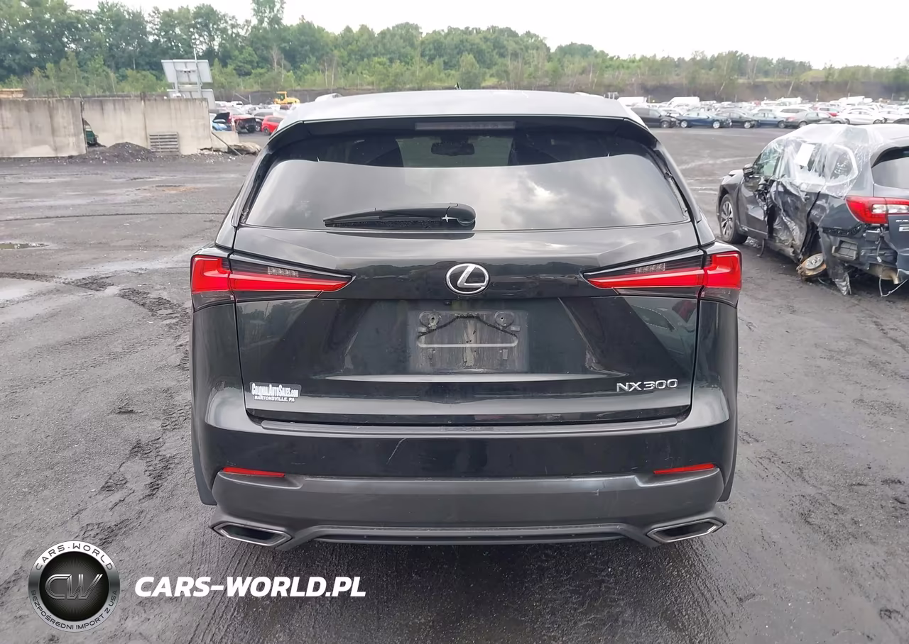 2021 Lexus Nx 300 VIN:JTJDARDZ0M2236599 - 16