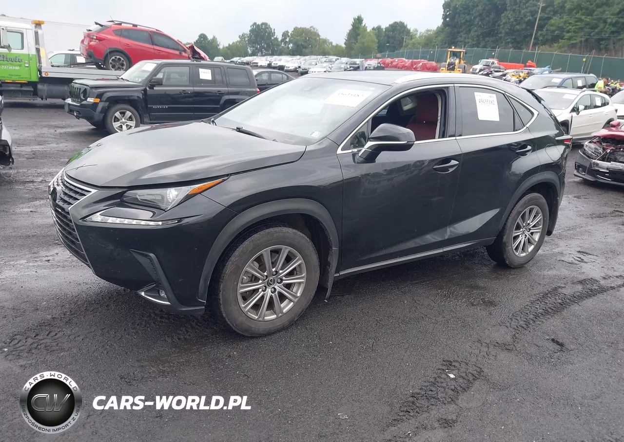 2021 Lexus Nx 300 VIN:JTJDARDZ0M2236599 - 2