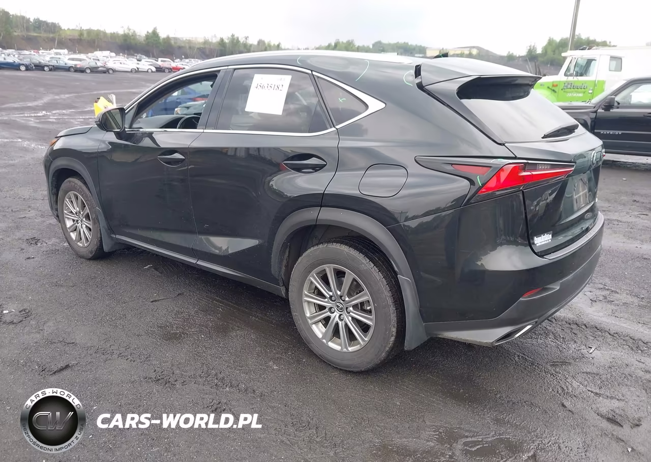 2021 Lexus Nx 300 VIN:JTJDARDZ0M2236599 - 3