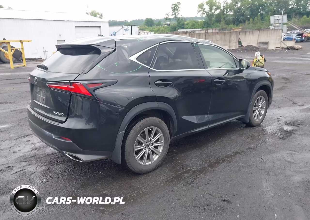 2021 Lexus Nx 300 VIN:JTJDARDZ0M2236599 - 4