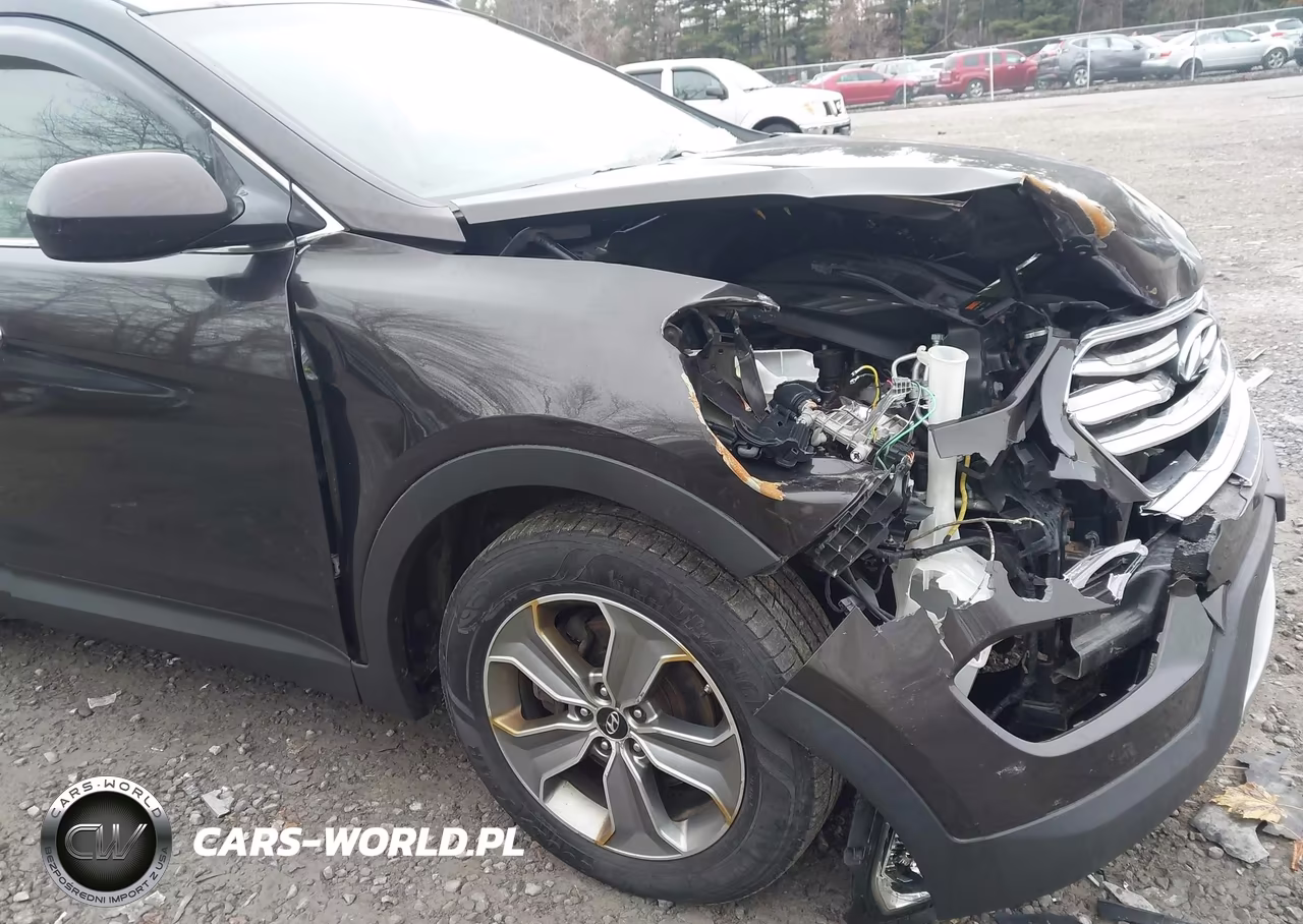 2016 Hyundai Santa Fe Se VIN:KM8SMDHF2GU145424 - 17