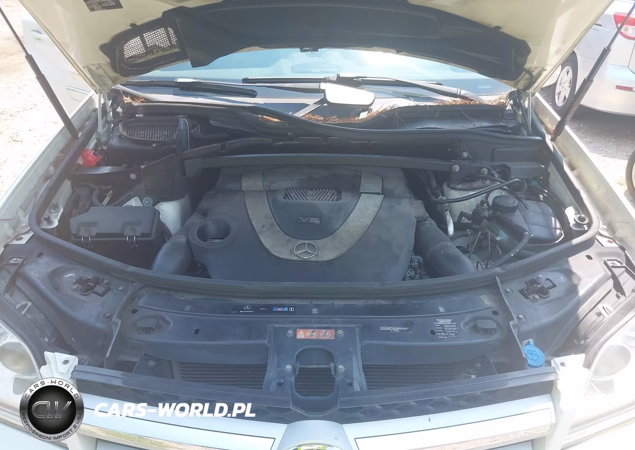 2008 Mercedes-Benz Gl-Class 4.6L VIN:4JGBF71E68A360627 - 10
