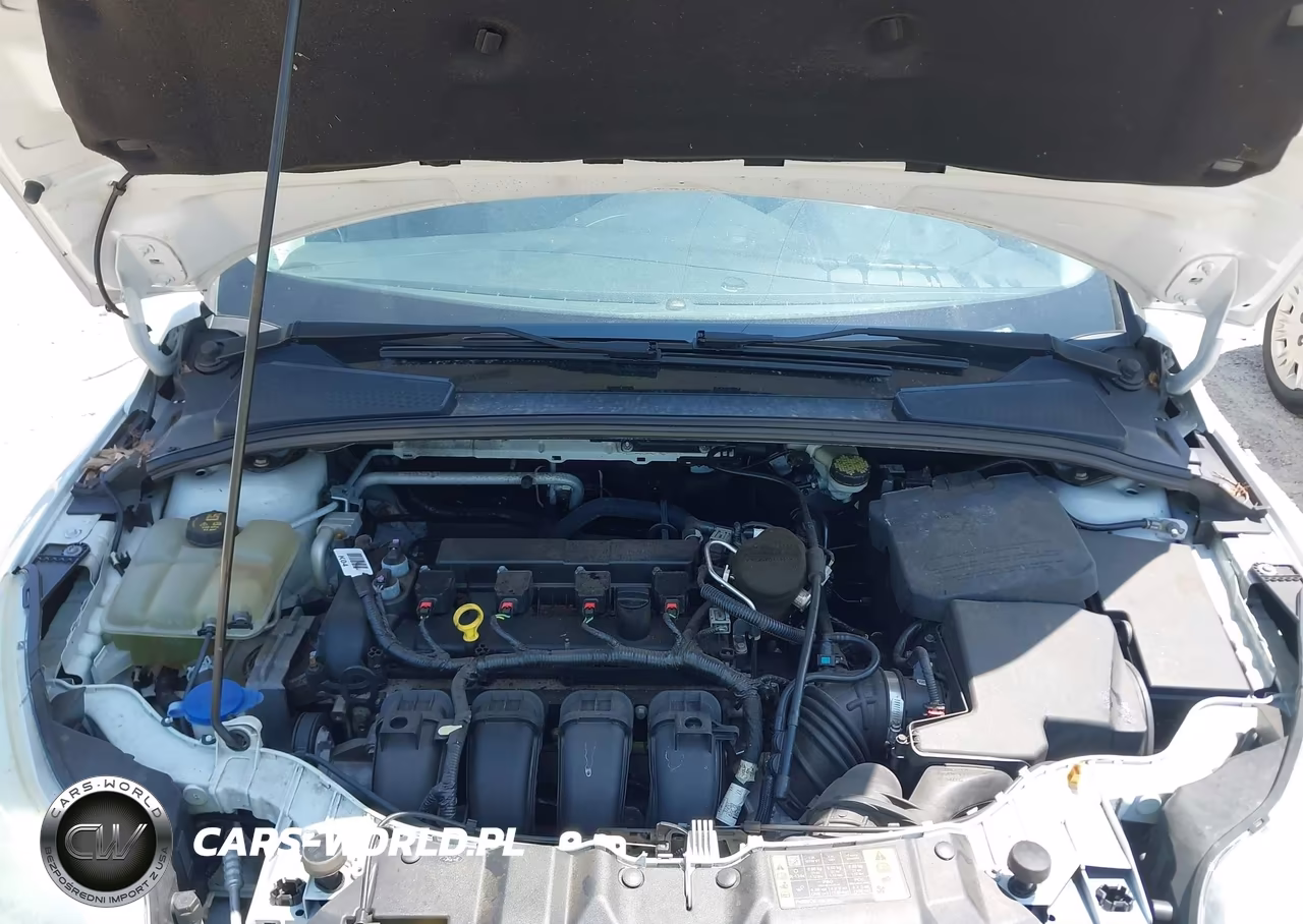 2014 Ford Focus Se VIN:1FADP3F28EL416638 - 10