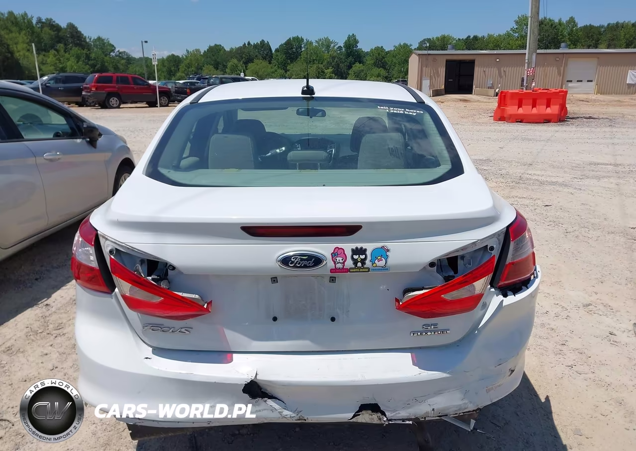 2014 Ford Focus Se VIN:1FADP3F28EL416638 - 16