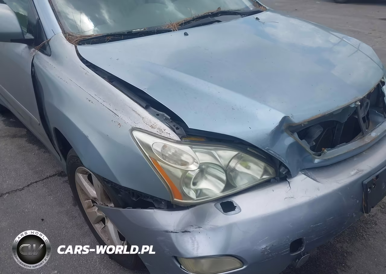 2004 Lexus Rx 330 VIN:2T2HA31U04C021487 - 12