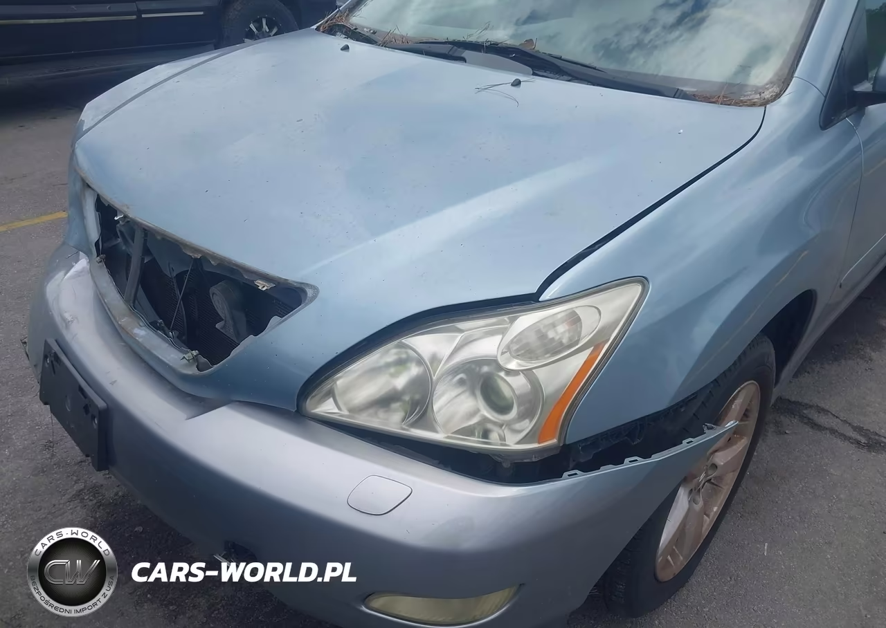 2004 Lexus Rx 330 VIN:2T2HA31U04C021487 - 6