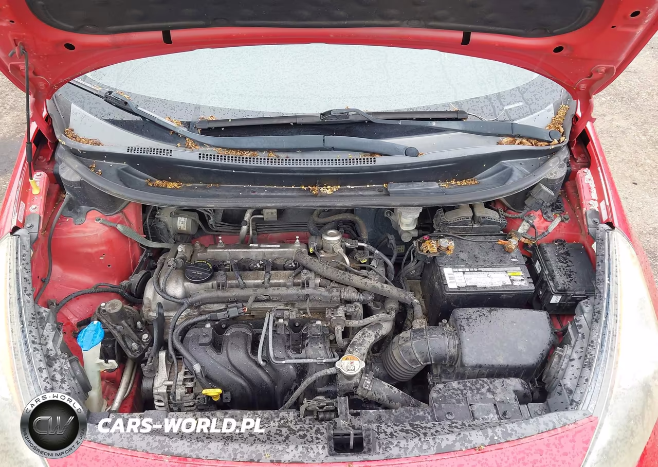 2013 Kia Rio Lx VIN:KNADM5A37D6177852 - 10