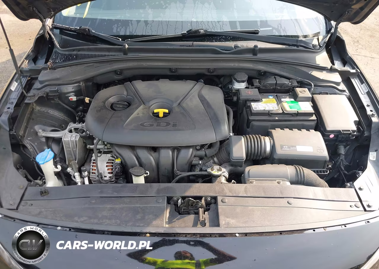 2018 Hyundai Elantra Gt VIN:KMHH35LE7JU077310 - 10
