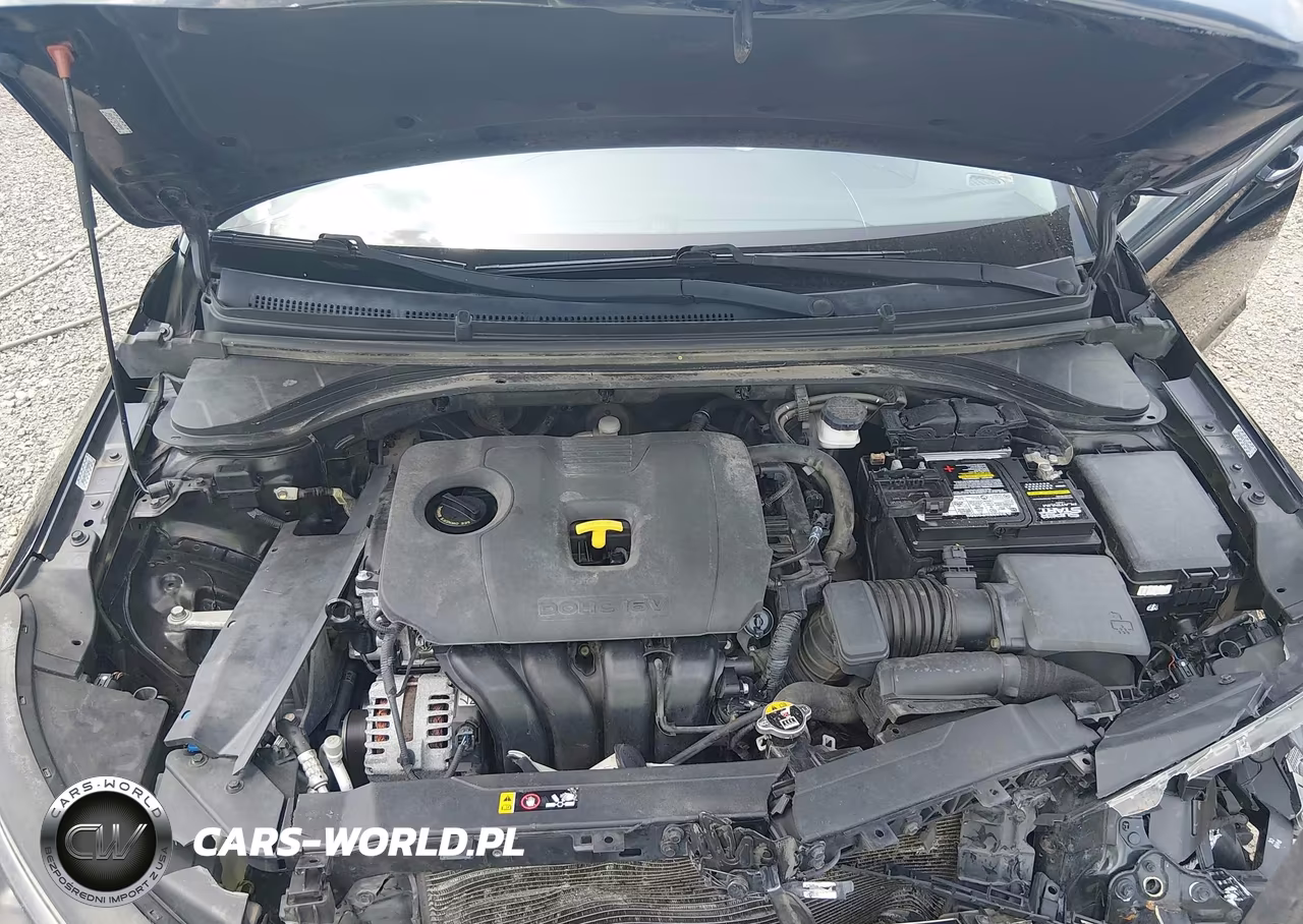 2020 Hyundai Elantra Sel VIN:KMHD84LF2LU987985 - 10