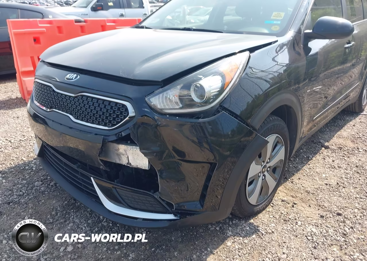 2019 Kia Niro Lx VIN:KNDCB3LC9K5255525 - 6