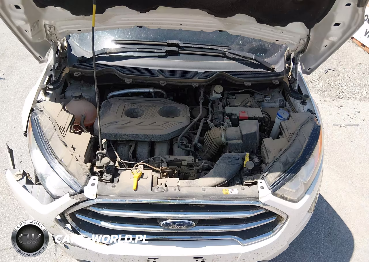 2020 Ford Ecosport Titanium VIN:MAJ6S3KL3LC338594 - 10