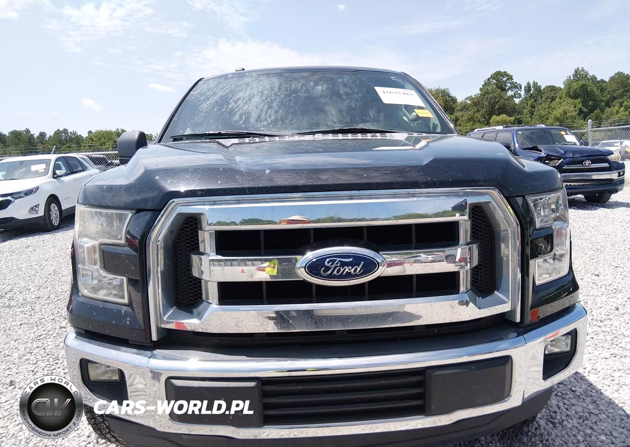 2016 Ford F-150 Xlt VIN:1FTEW1CGXGFA50009 - 11