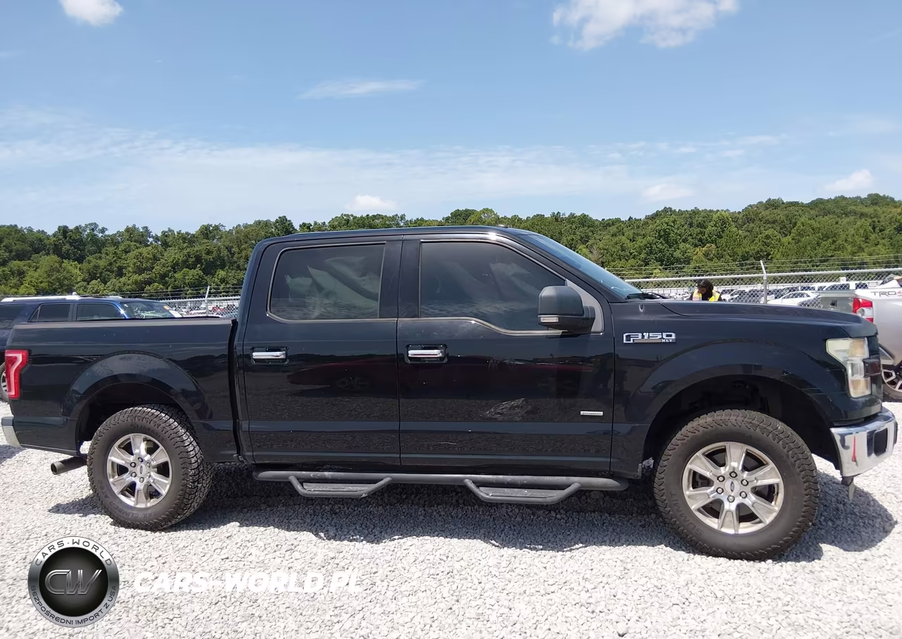 2016 Ford F-150 Xlt VIN:1FTEW1CGXGFA50009 - 12